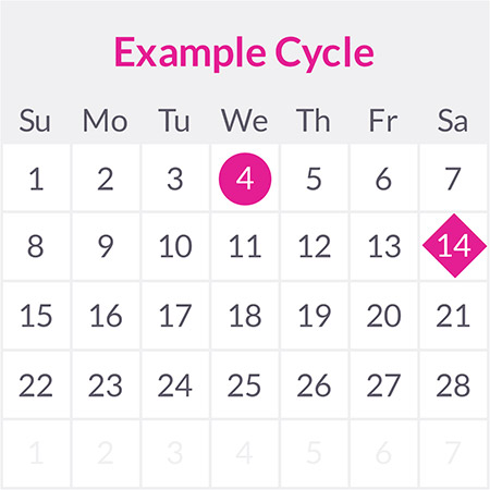 When should you start an ovulation test? | calendar