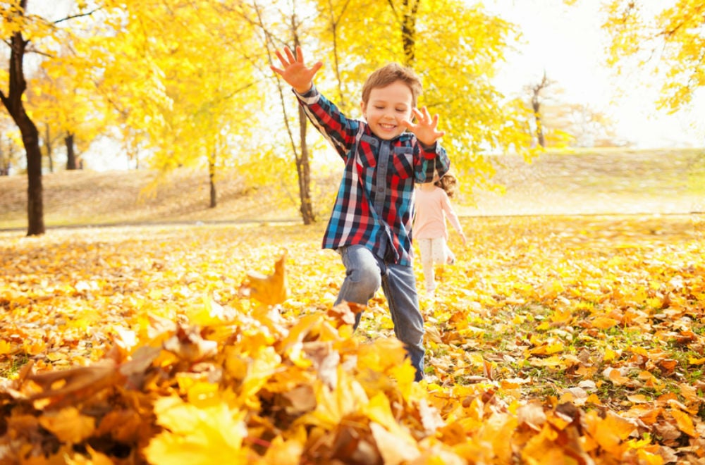 50 must-do fall family activities