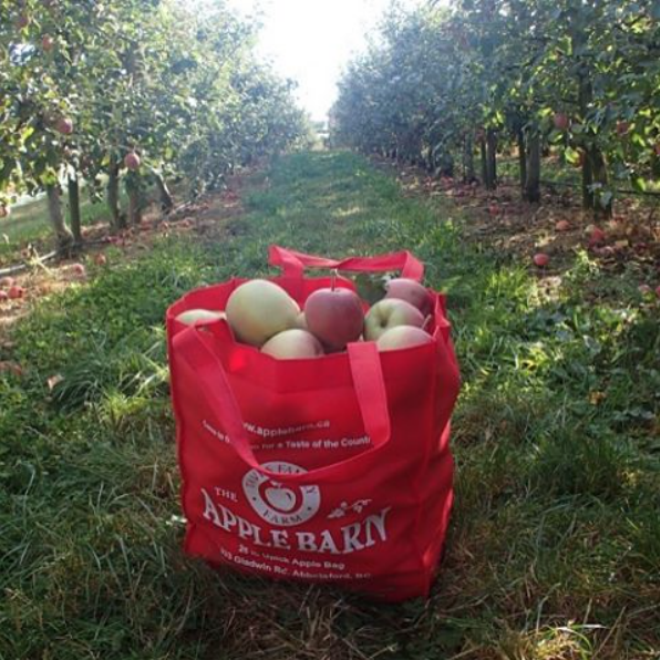 Best apple orchards and farms across Canada