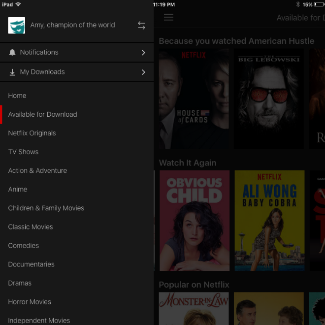Netflix iPad screenshot 