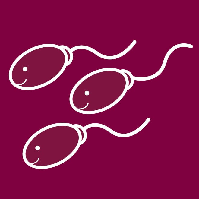 healthy sperm graphic