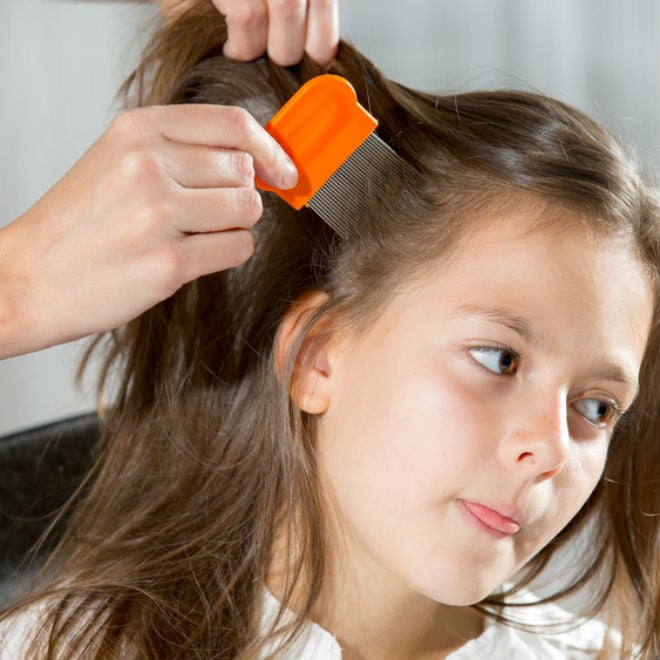 combing lice out of a girl's hair