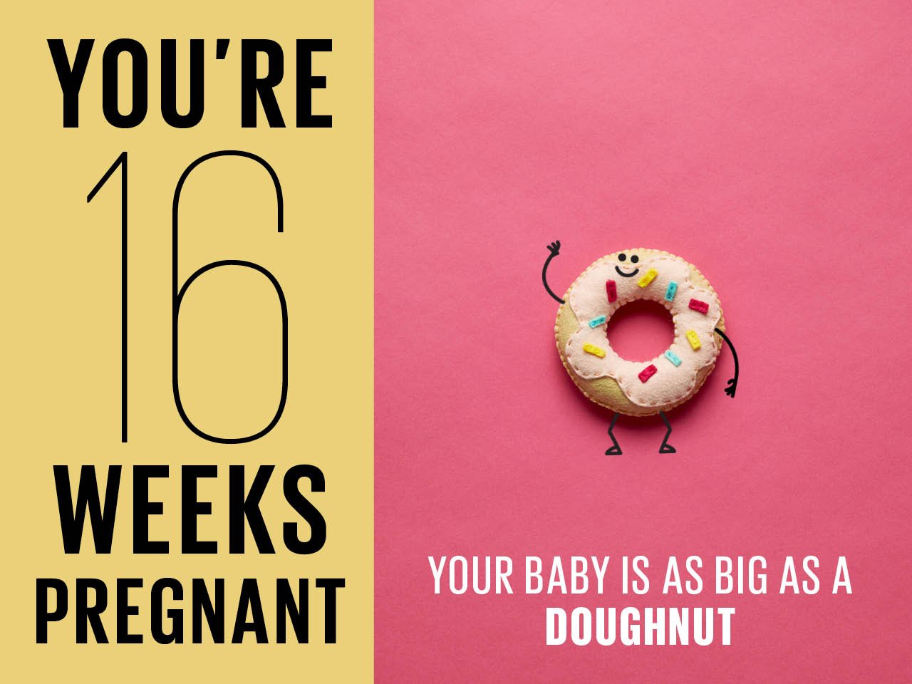 Felt doughnut used to show how big baby is at 16 weeks