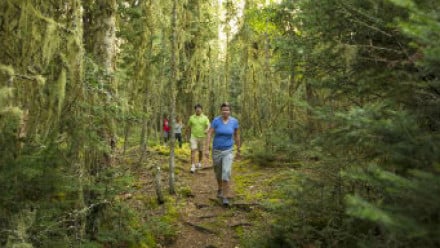 10 family-friendly hiking trails in Ontario