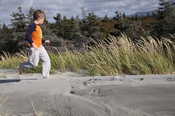 4 family-friendly hiking trails in Newfoundland and Labrador