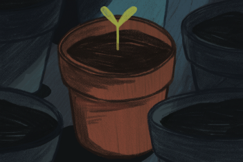 illustration of potted plant