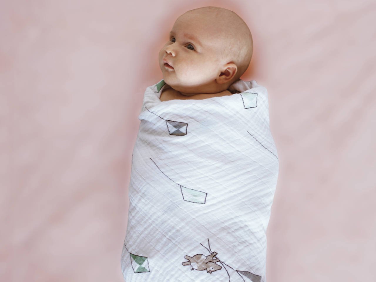 A baby swaddled in a blanket 