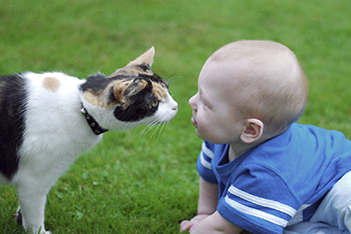 Beat the Monday blahs with baby and animal BFFs