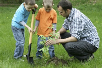 Easy Earth Day activity for kids: plant a tree