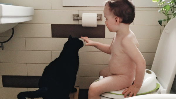 A little boy sitting on the toilet petting a cat