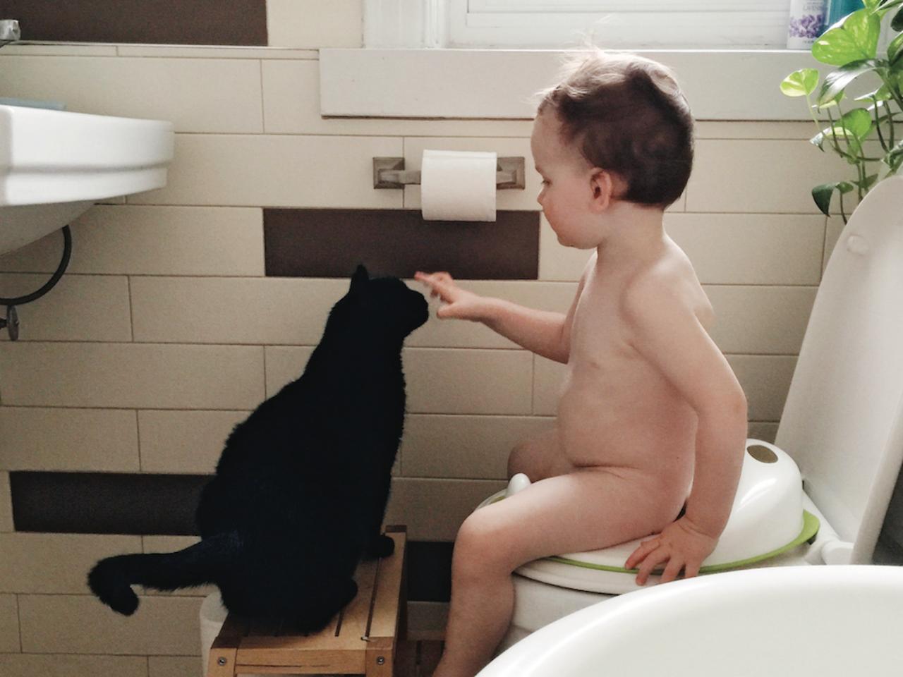 A little boy sitting on the toilet petting a cat