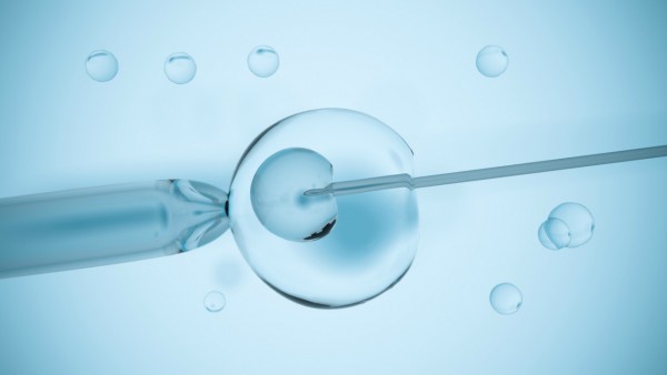 IVF needle and egg