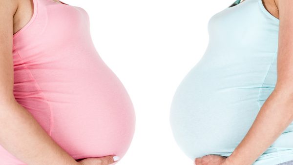 Two pregnant women facing each other. One is wearing a pink shirt. the other is wearing blue