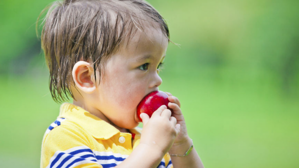little boy eating an apple