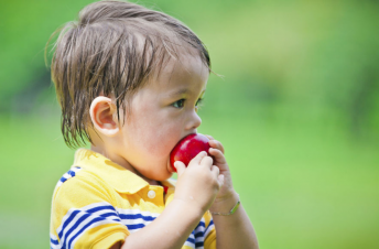little kid eating apple