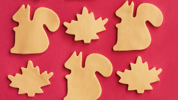 fudge cut outs of animals and maple leaves