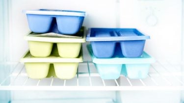 blue ice cube trays in freezer