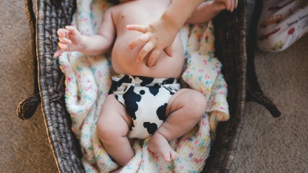 Baby in a cow print cloth diaper, laying in a bassinet, sister sticking finger in belly button