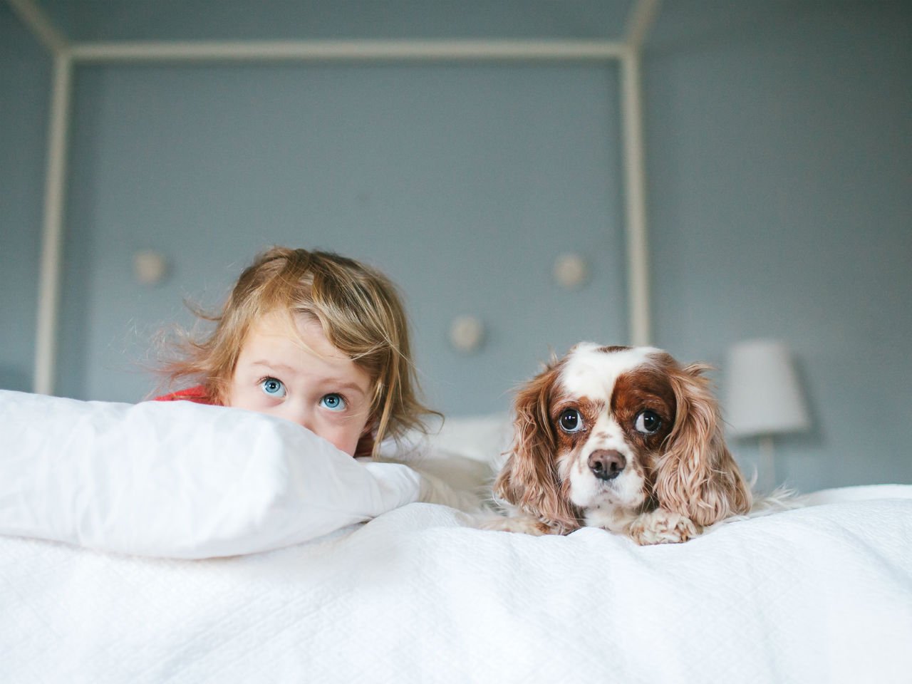 a little child and their dog hiding together on a bed 