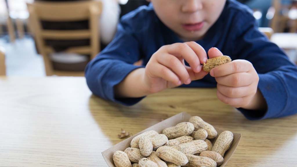 What is anaphylaxis? Little boy eating peanuts