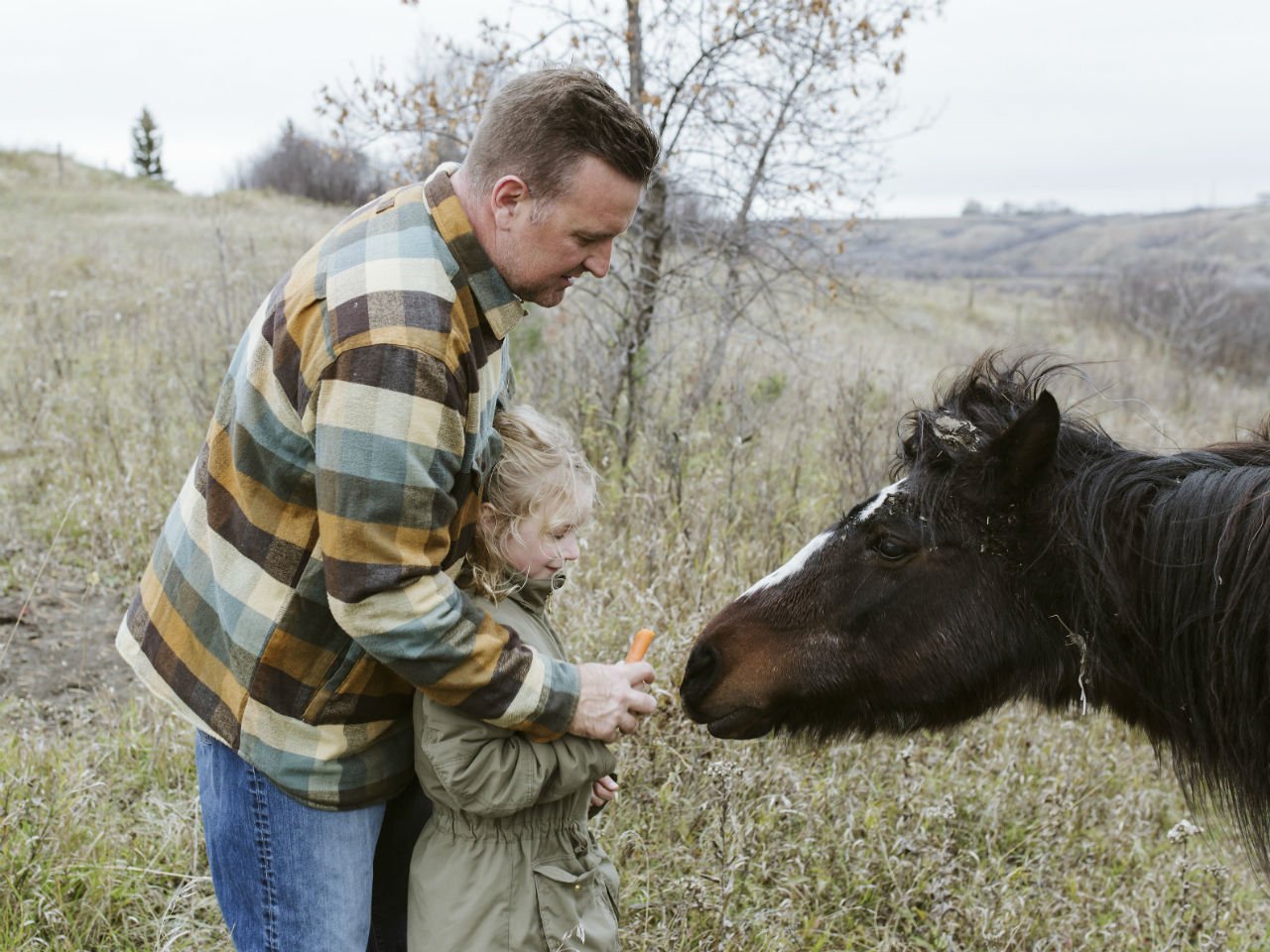 a little girl and her dad feed a pony a carrot