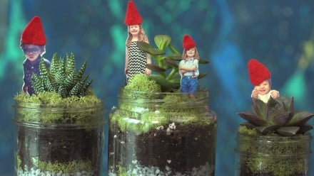 three terrariums with little gnomes on top