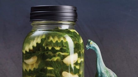 jar of homemade pickles with toy dinosaurs hanging out beside it