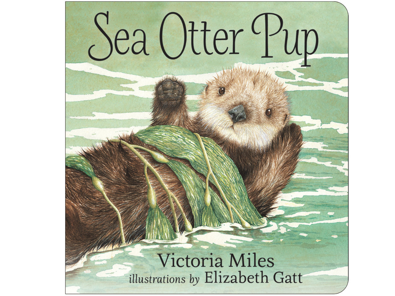 book cover of Sea Otter Pup depicting a sea otter floating on his back