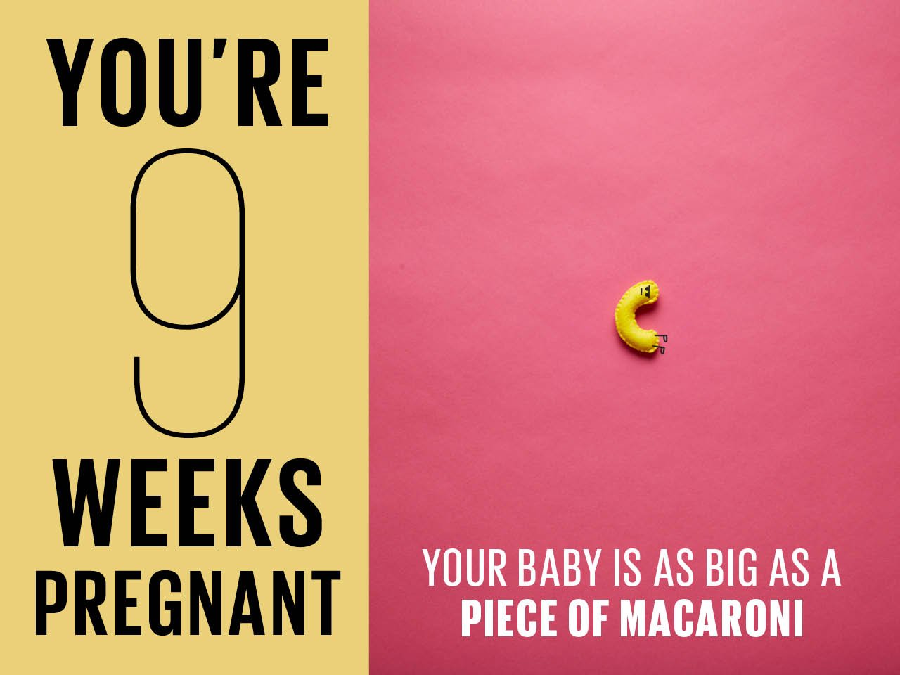 Felt piece of macaroni used to show how big baby is at 9 weeks