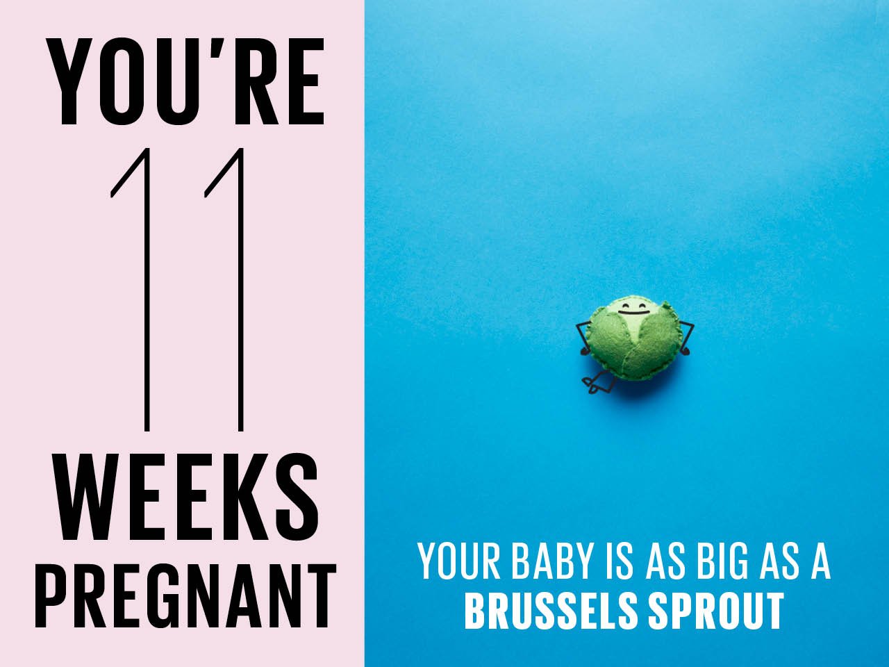 Felt brussels sprout used to show how big baby is at 11 weeks