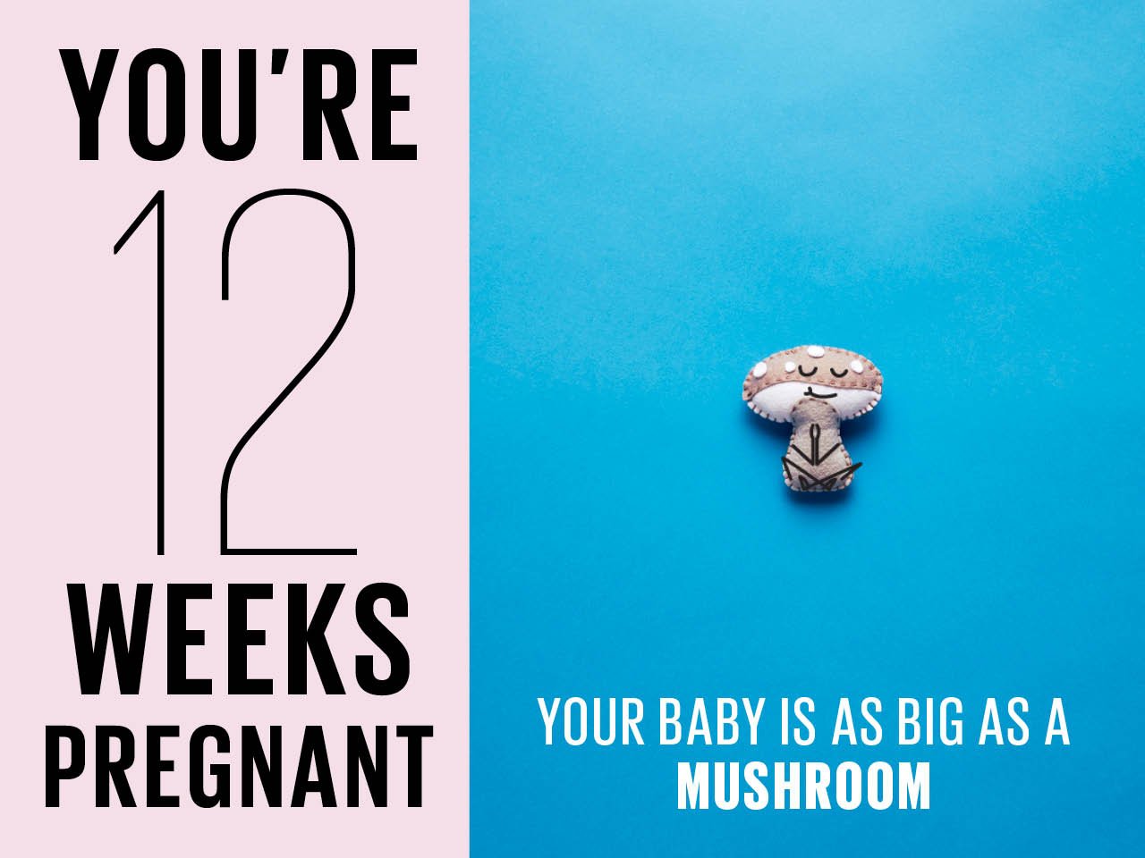 Felt mushroom used to show how big baby is at 12 weeks pregnant
