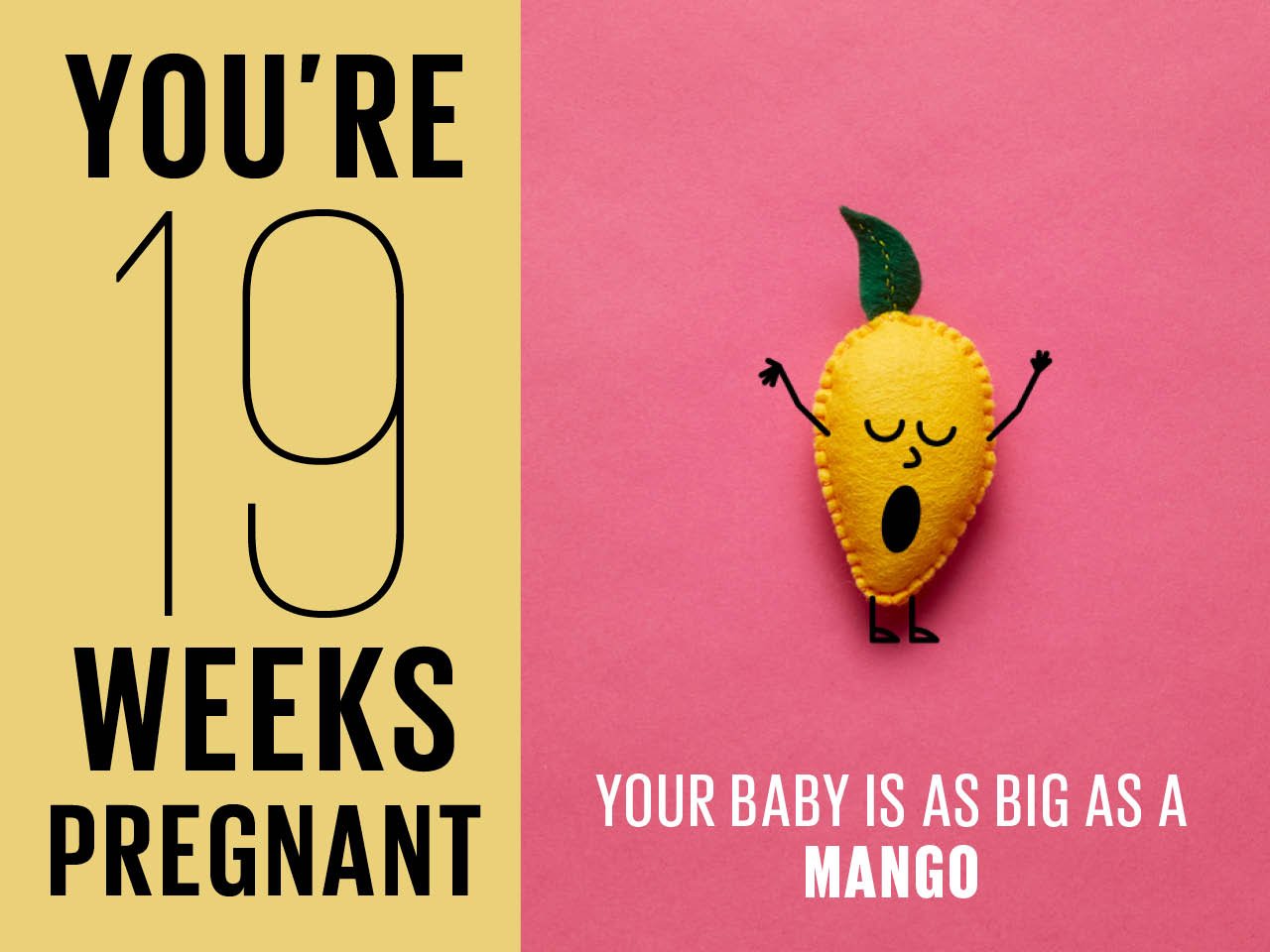 Felt mango used to show how big baby is at 19 weeks