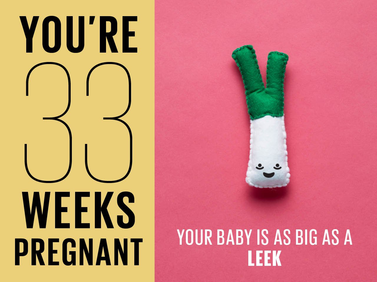 Felt leek used to show how big baby is at 33 weeks pregnant