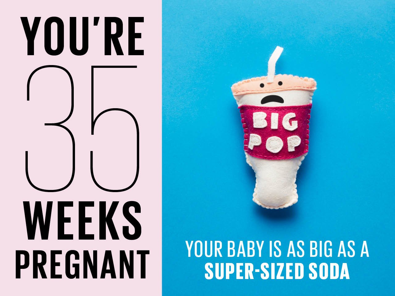 Felt super-sized soda used to show how big baby is at 35 weeks pregnant