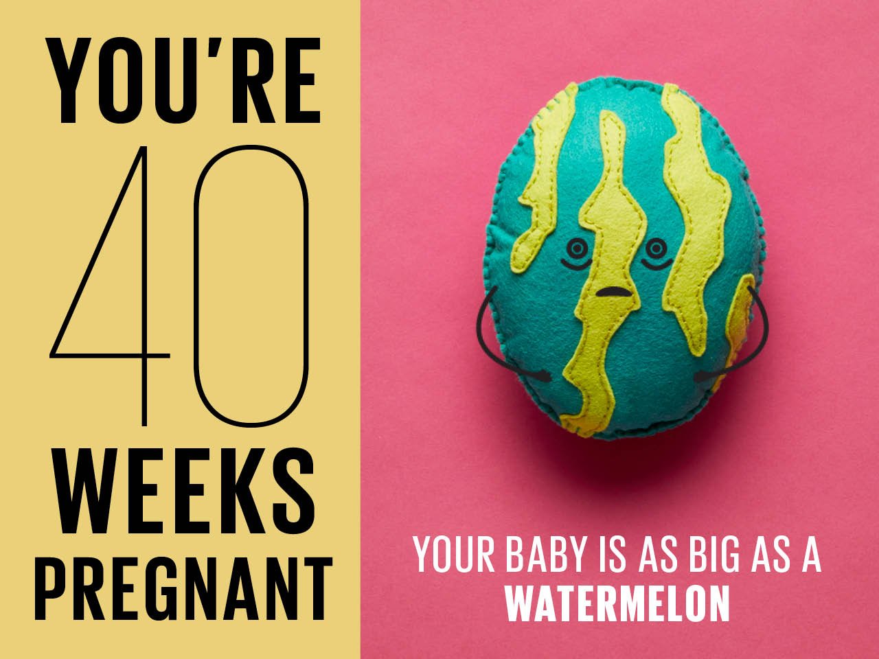 Felt watermelon used to show how big baby is at 40 weeks