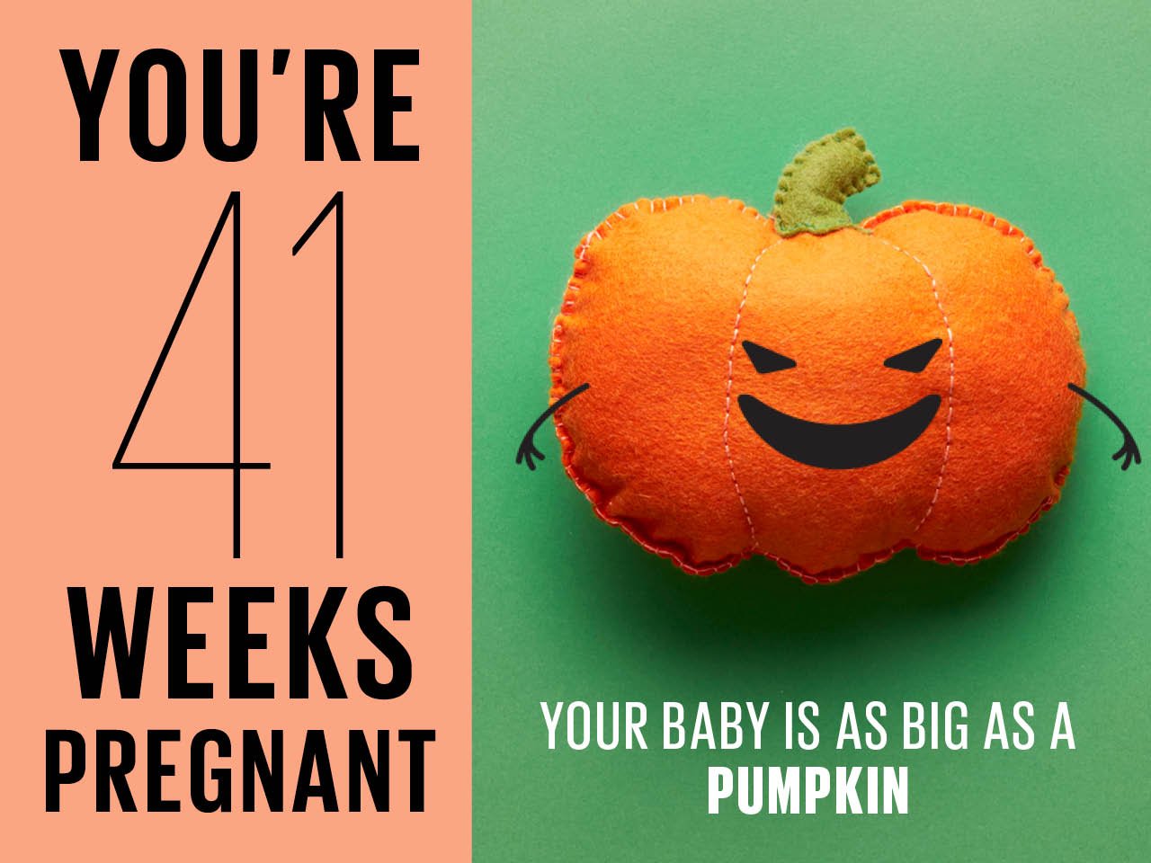 Felt pumpkin used to show how big baby is at 41 weeks