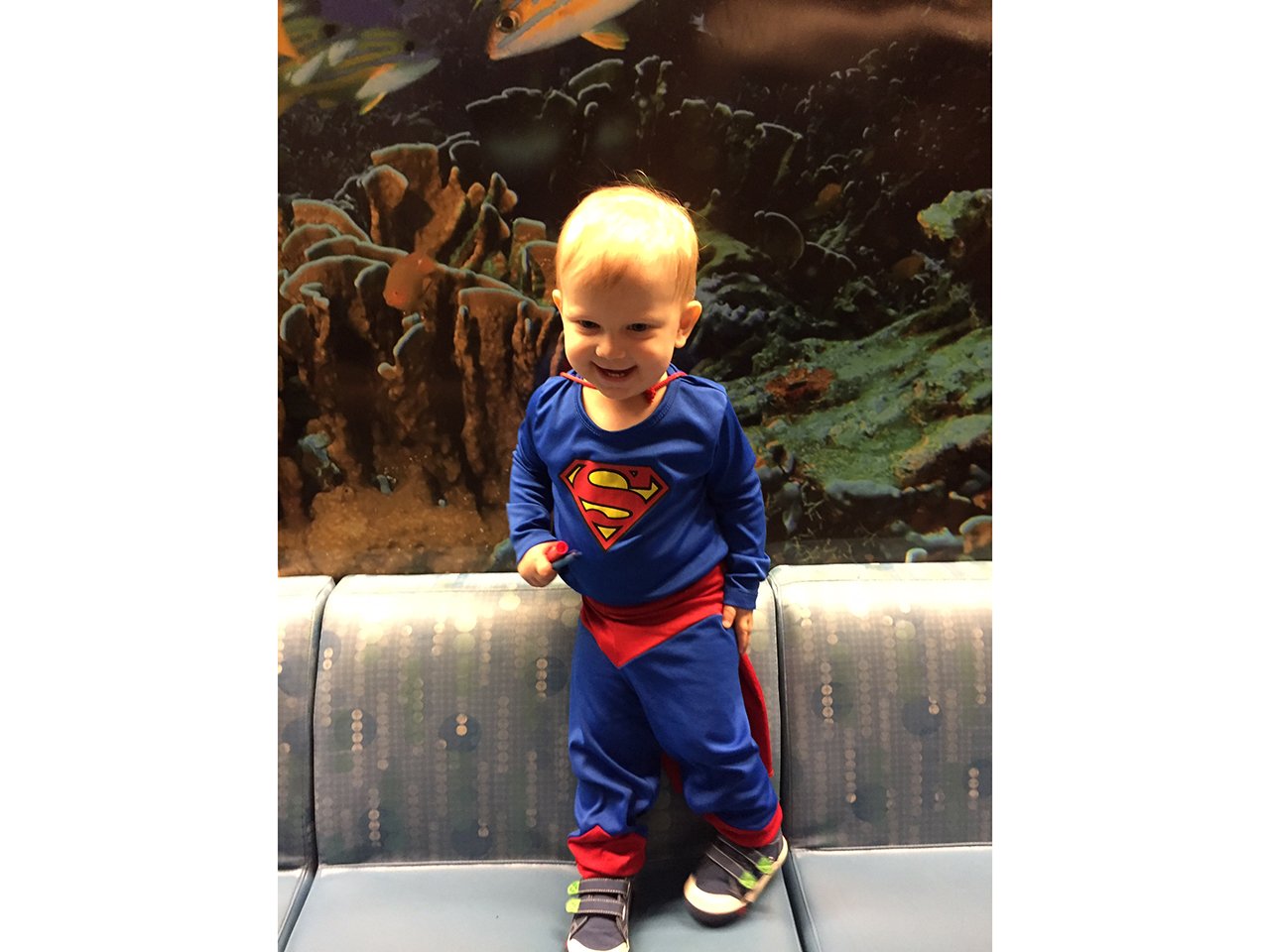 Smiling little boy wearing a superman costume