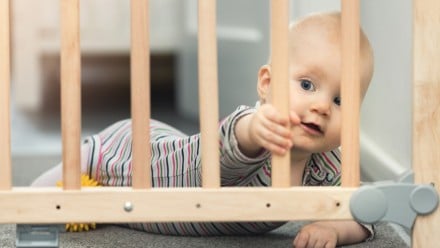 baby holding onto the bars of a baby gate at the top of the stairs
