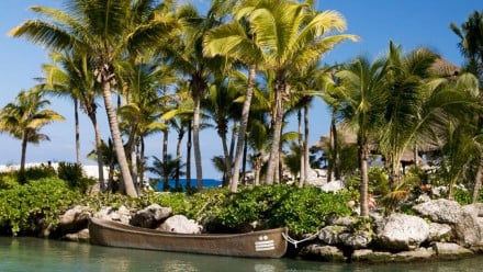Image of palm trees and a boat at Xcaret park in Mexico