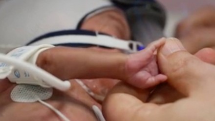 A male hand holding a preemie's hand