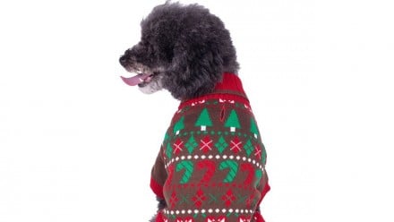 Argyle brown, red and white dog sweater with festive patterns