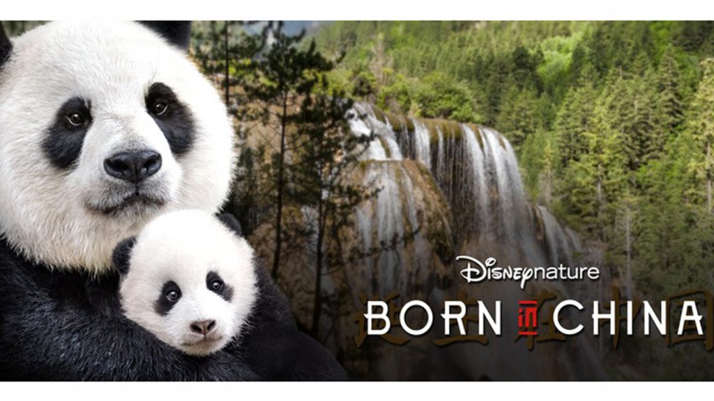 Promo Image for Born in China, Shows pandas in front of a scenic waterfall
