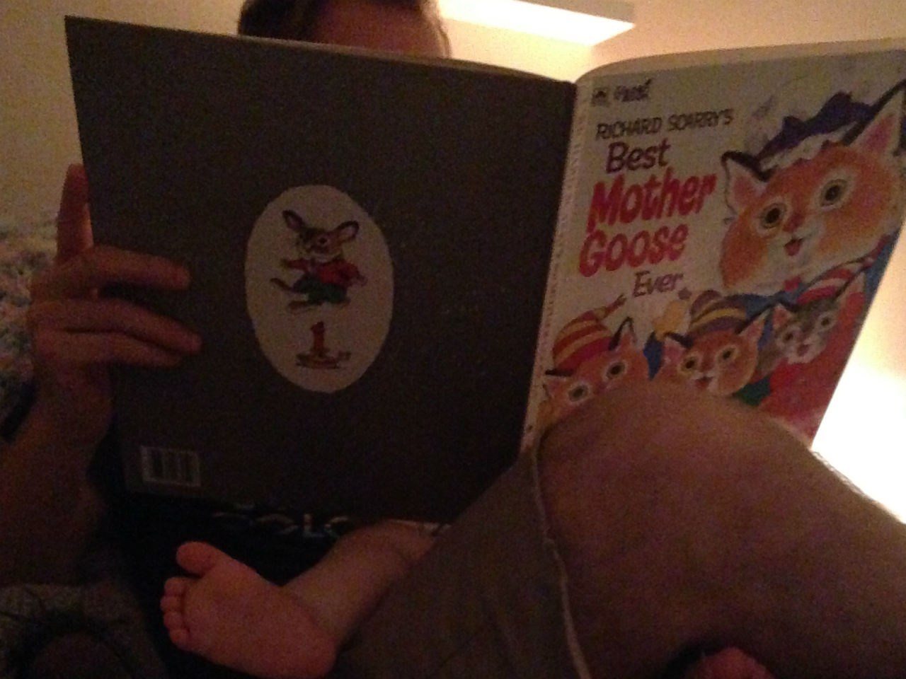 dad reading to his child