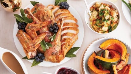 Roasted turkey sliced up on a plate with stuffing, cranberry sauce and roasted squash