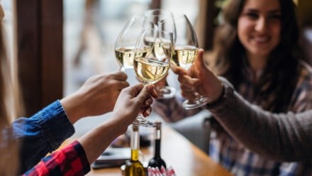 Friends toasting each other with white wine, smiling, sitting in restaurant