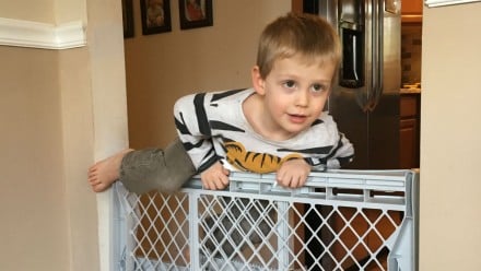 A two-year-old boy climbing over a baby gate.