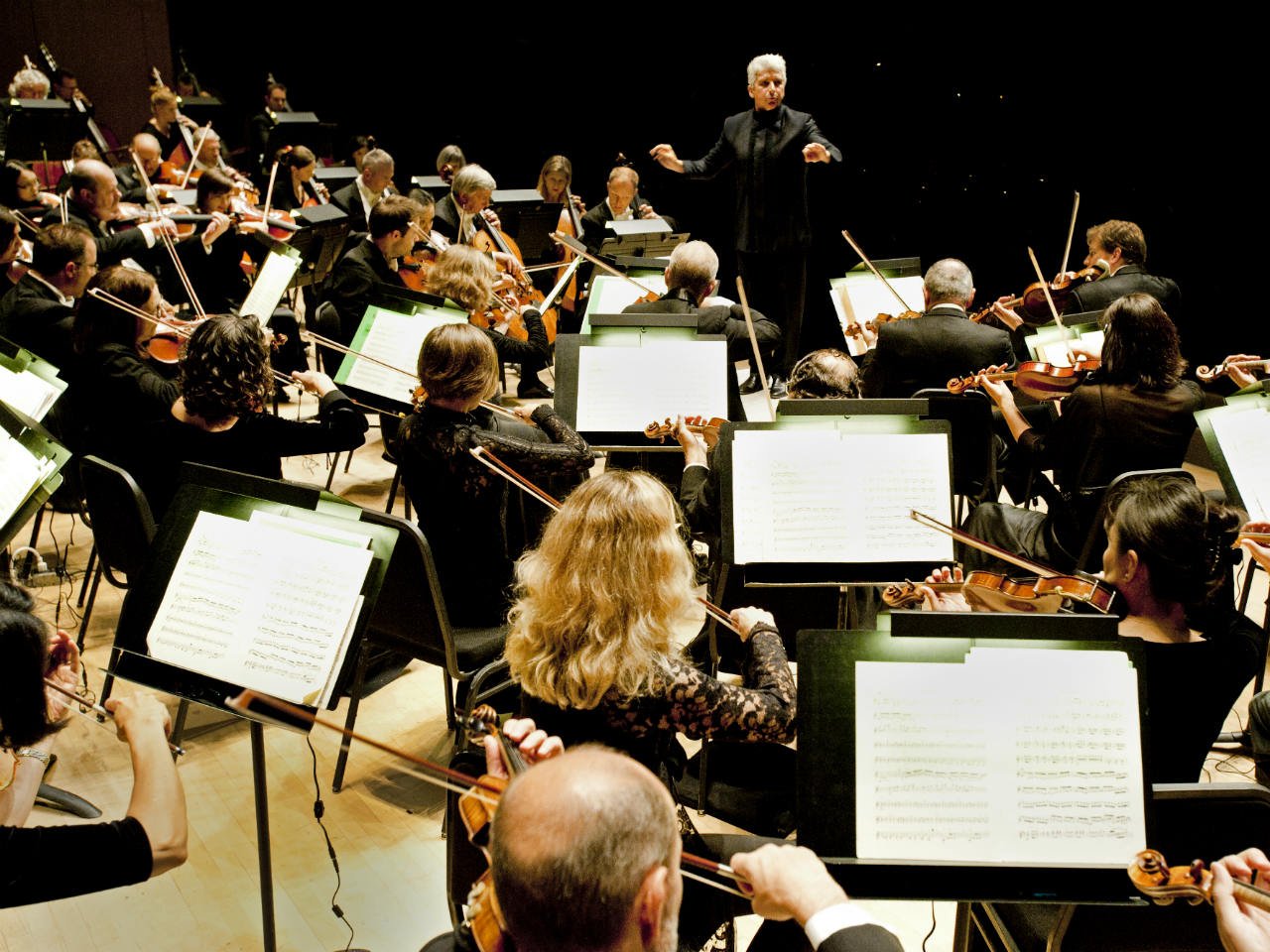 Orchestra and conductor