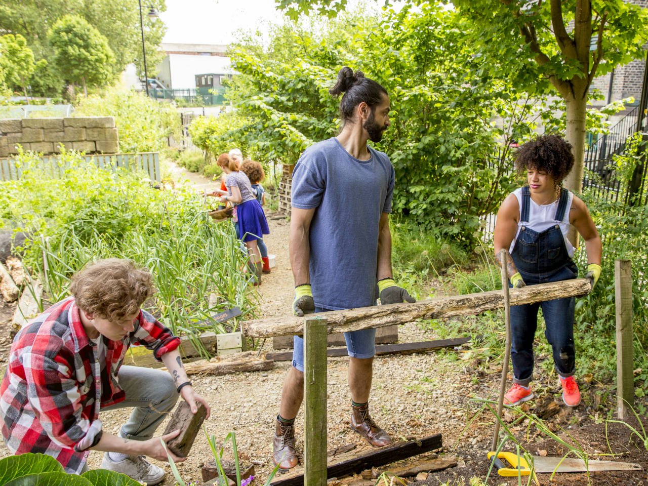 A group of adults building a garden