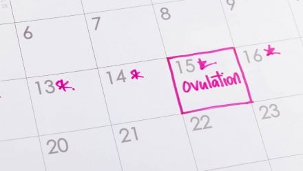 picture of a calendar marking down the day of ovulation