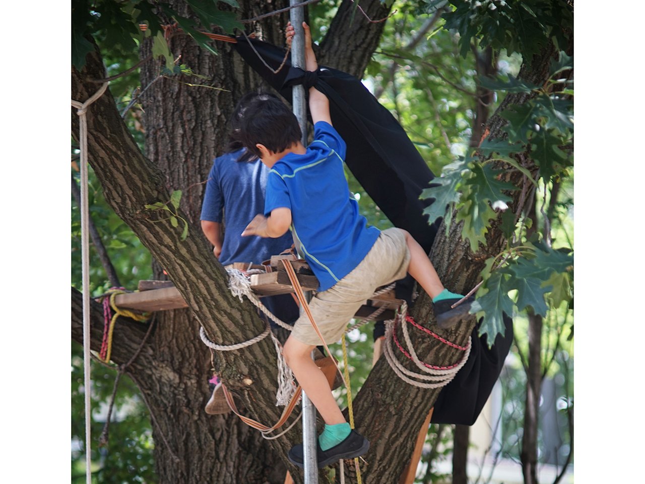 Child climbing a tree at Play:ground on Governors Island